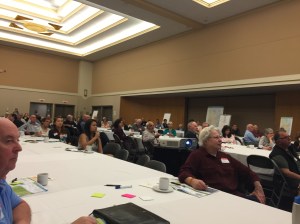 Working with engaged citizens to come to a decision about their future